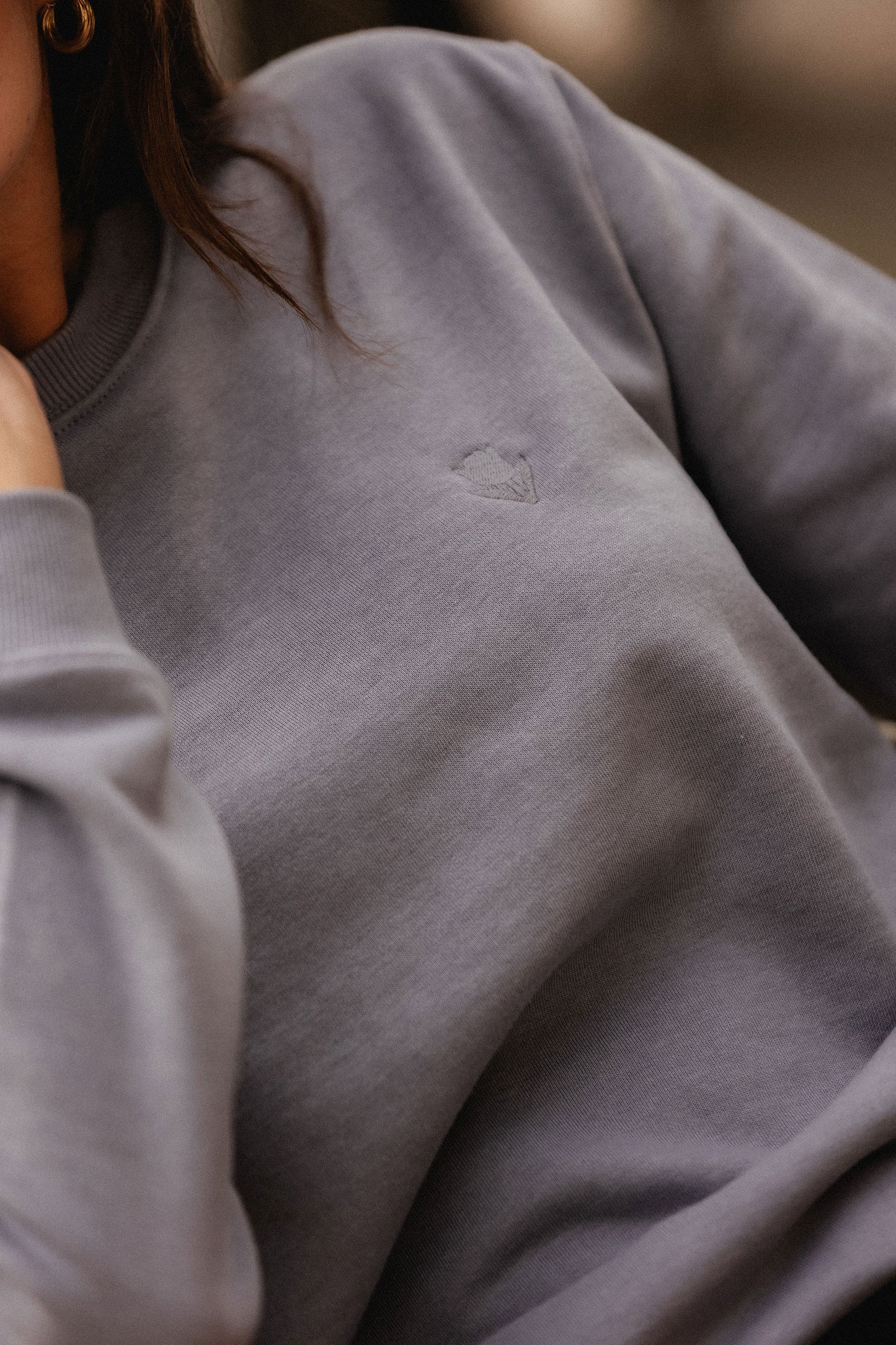 Elementar Sweatshirt V1