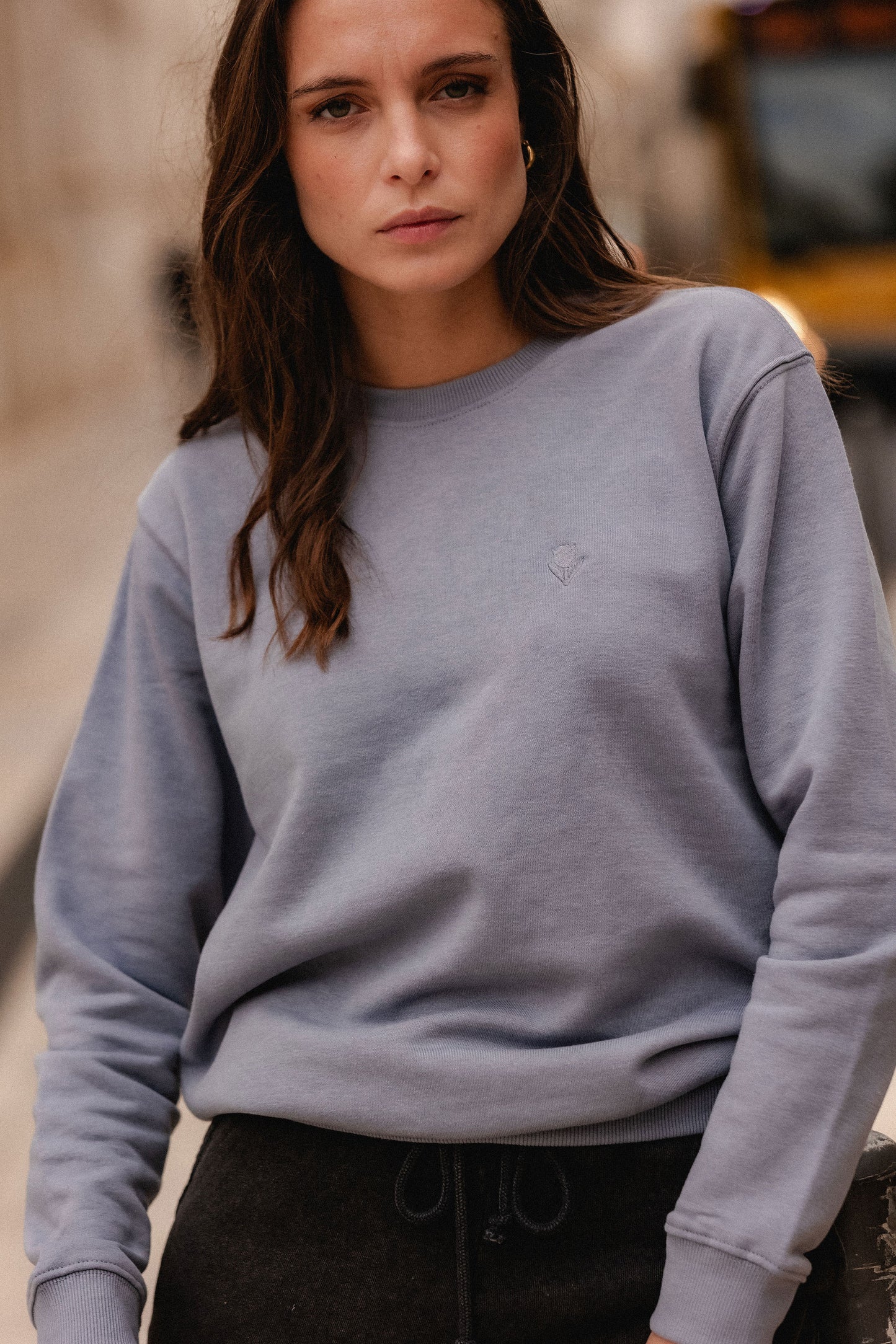 Elementar Sweatshirt V1