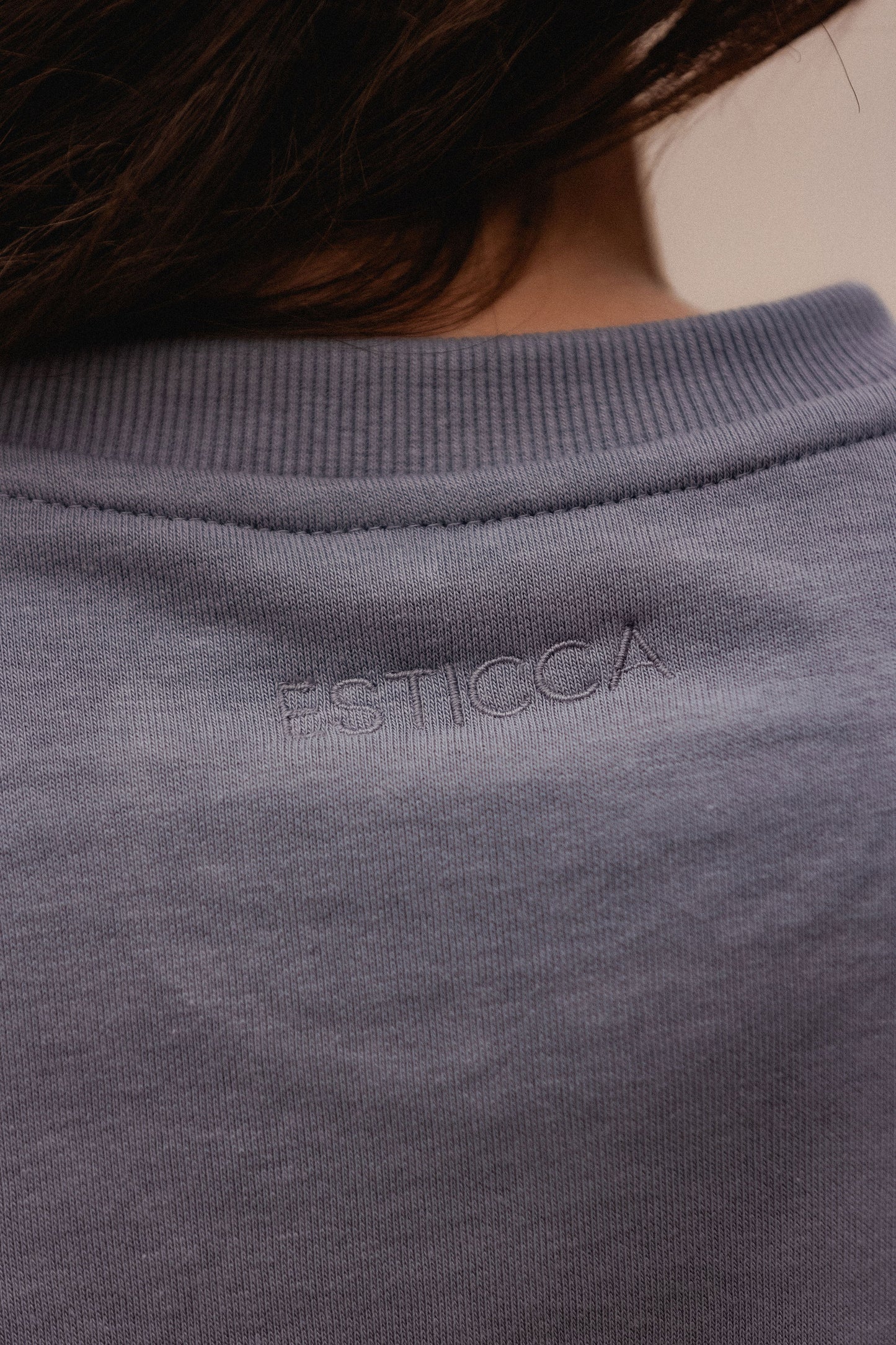 Elementar Sweatshirt V1