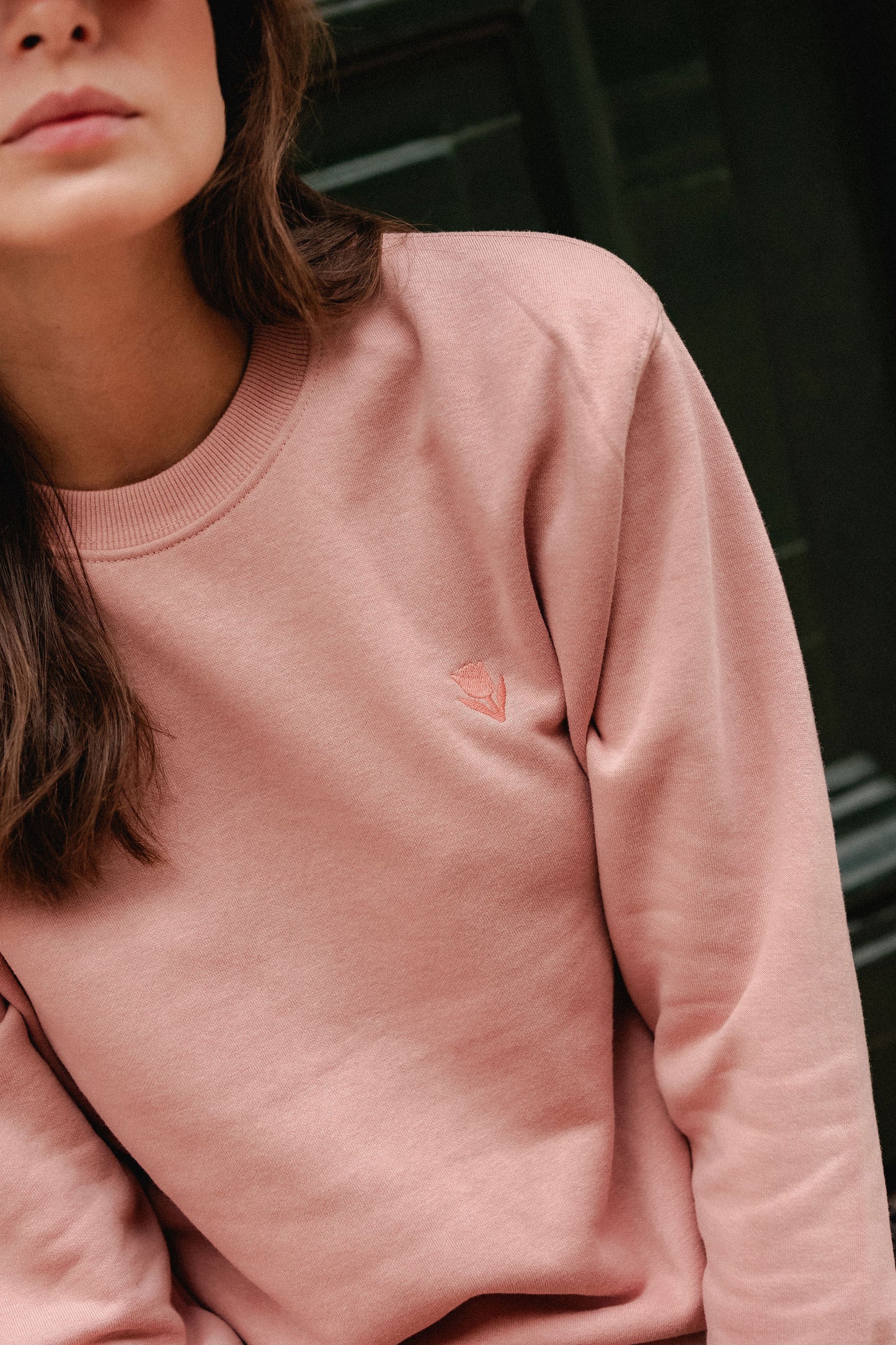 Elementar Sweatshirt V2