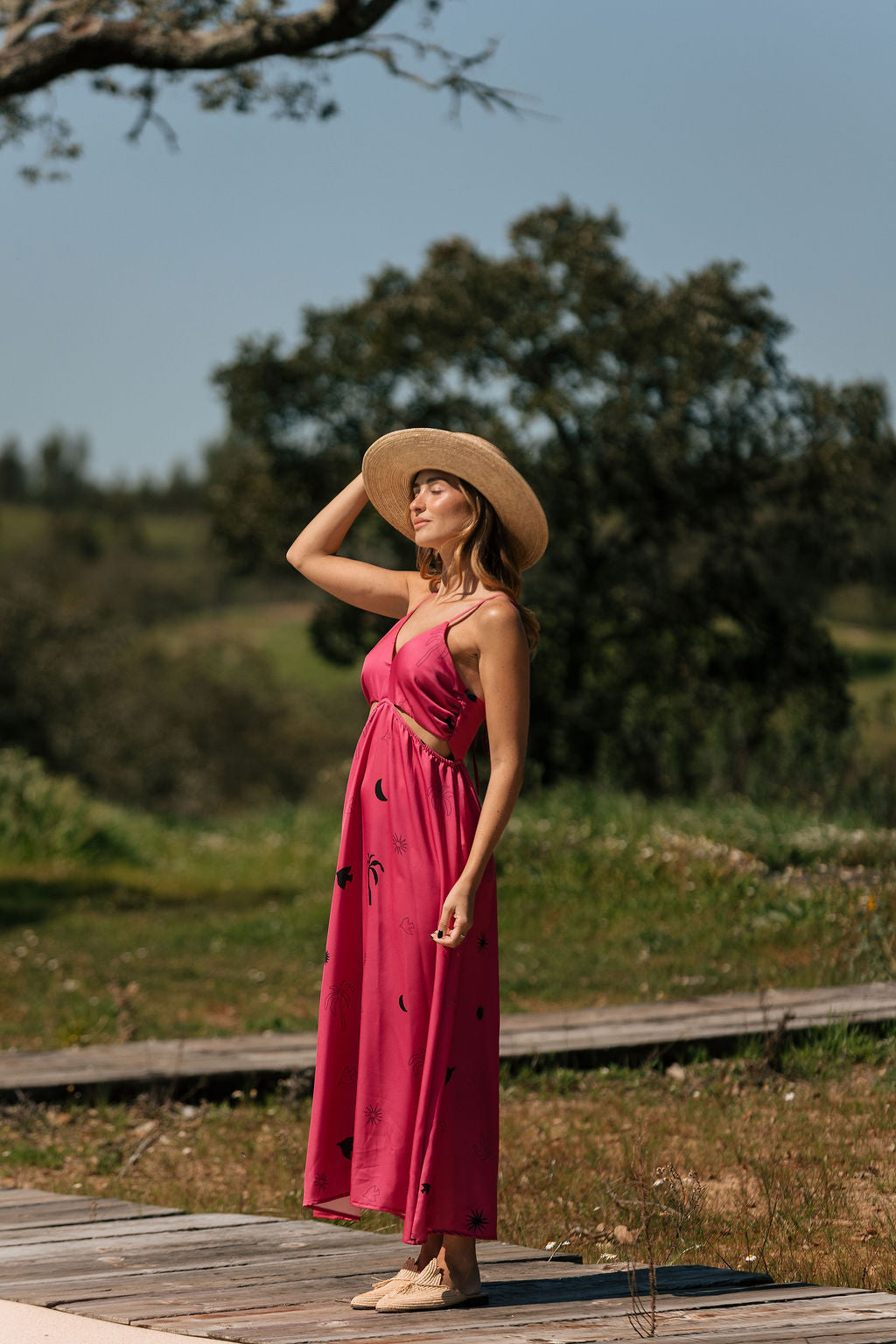 Sun at Large Dress