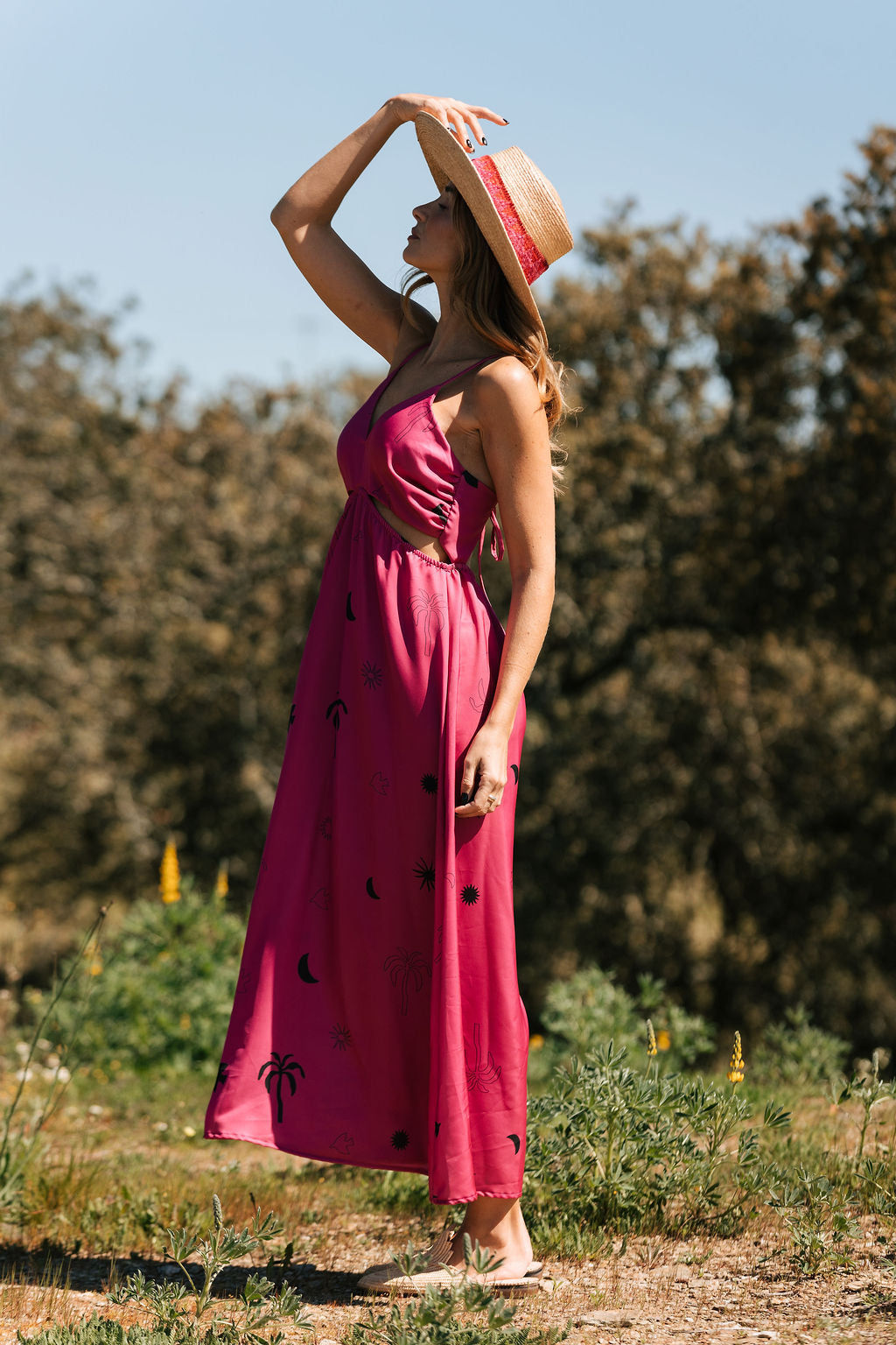 Sun at Large Dress